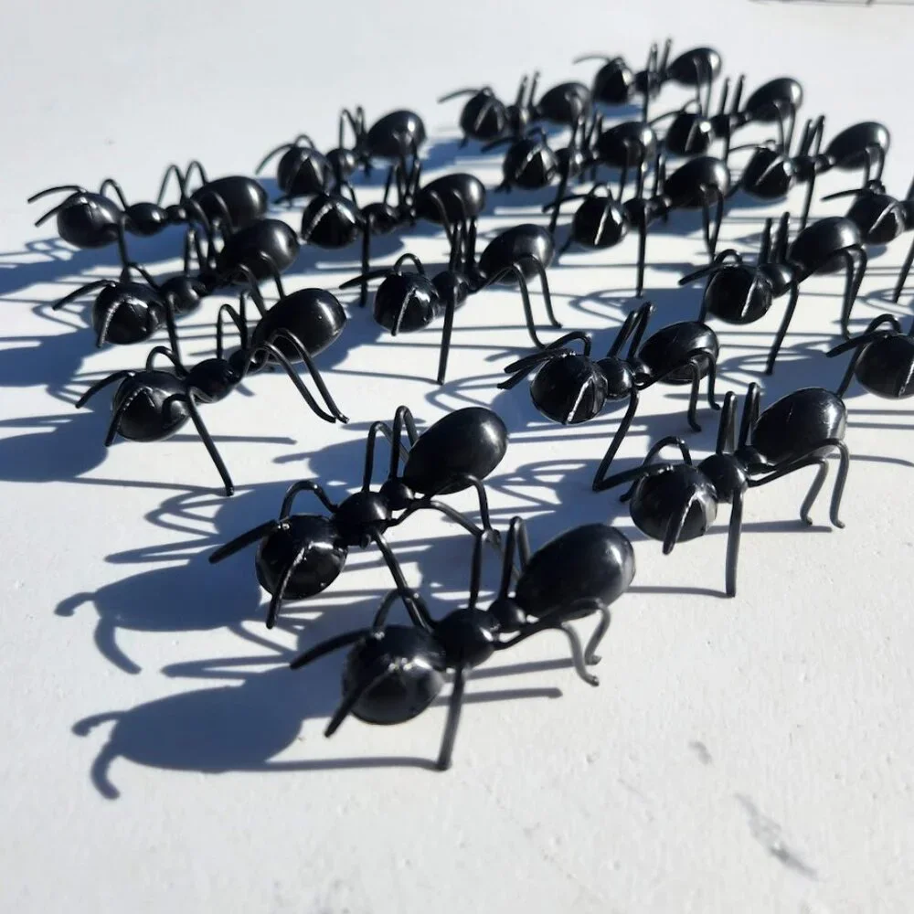 24 Ant Insects Cupcake Cake Toppers Picks New Party Supplies DIY Baking Decor Bl